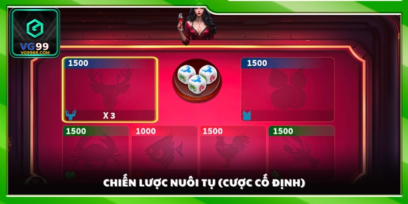 Chiến lược nuôi tụ để tăng tỷ lệ thắng dài hạn