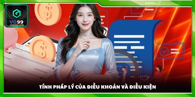 Hiệu lực pháp lý và phạm vi áp dụng điều khoản và điều kiện