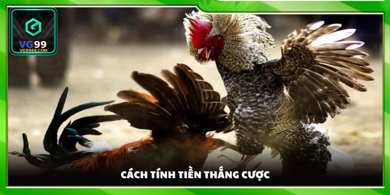 Hướng dẫn cách tính tiền thưởng khi thắng kèo.
